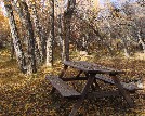 Tent site with deer grazing - John Lorenz