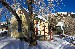 Aspen Cabin in winter snow - Doug Bates