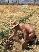 World Naked Gardening Day - Sabine Borchers